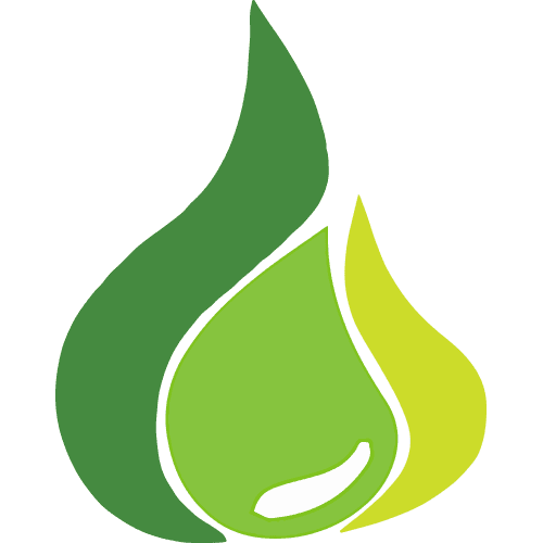 Bussme Energy-logo